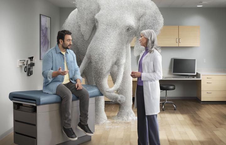 Patient speaking to a doctor with an elephant (made of salt) in the room