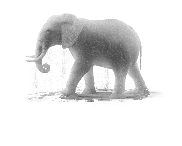 Elephant made of salt