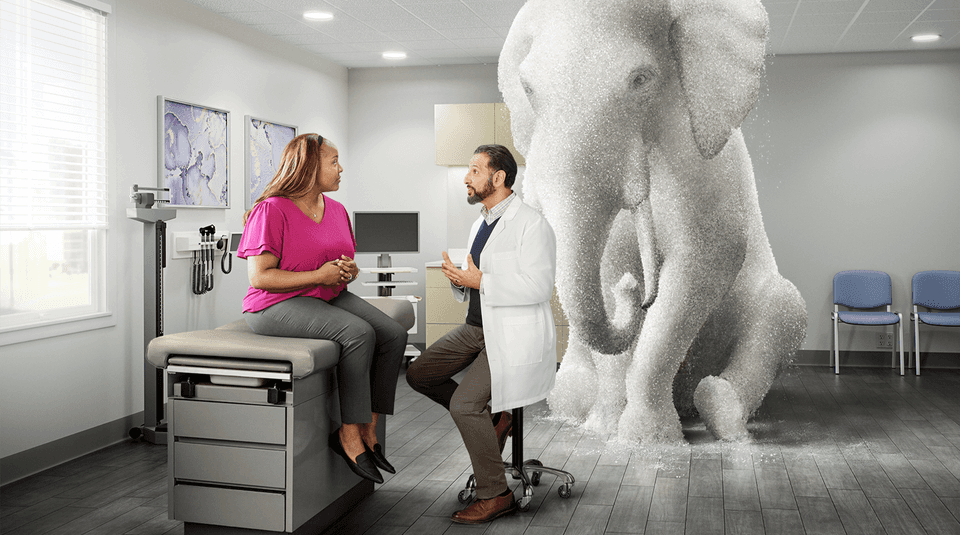 Patient speaking to a doctor with an elephant (made of salt) in the room